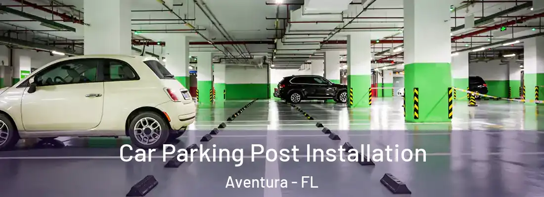  Car Parking Post Installation Aventura - FL