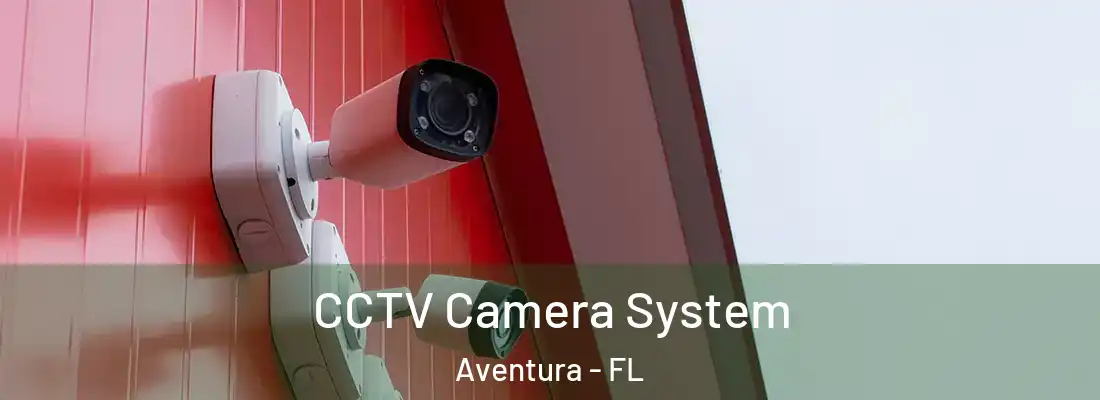  CCTV Camera System Aventura - FL