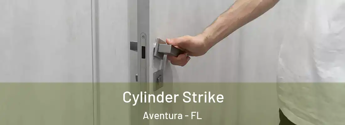Cylinder Strike Aventura - FL