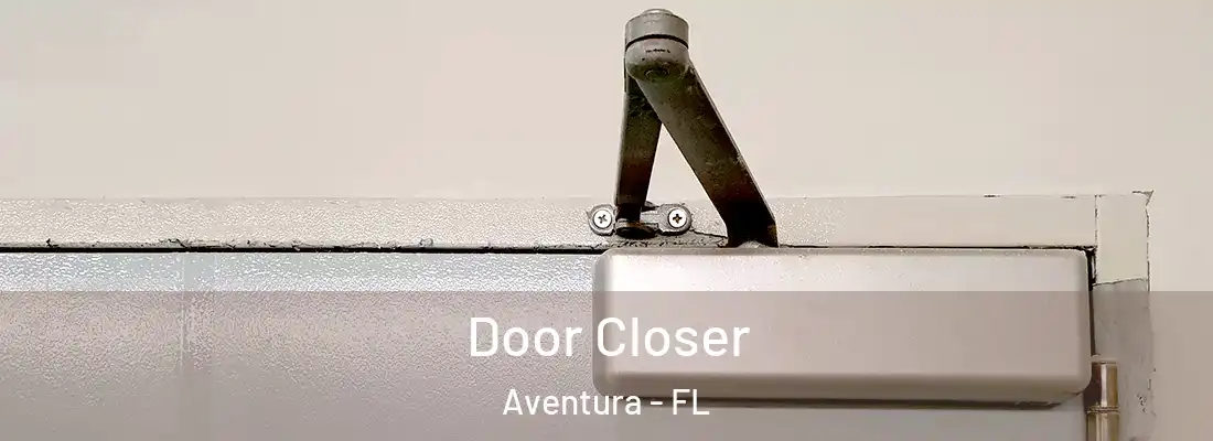 Door Closer Aventura - FL