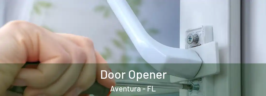  Door Opener Aventura - FL