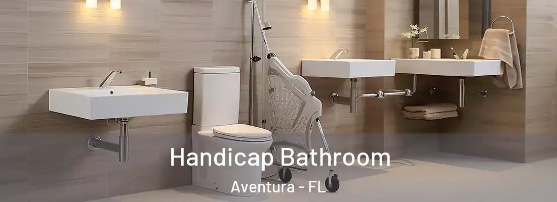  Handicap Bathroom Aventura - FL