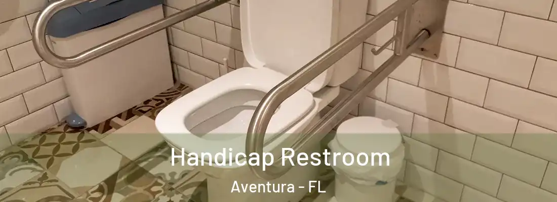 Handicap Restroom Aventura - FL