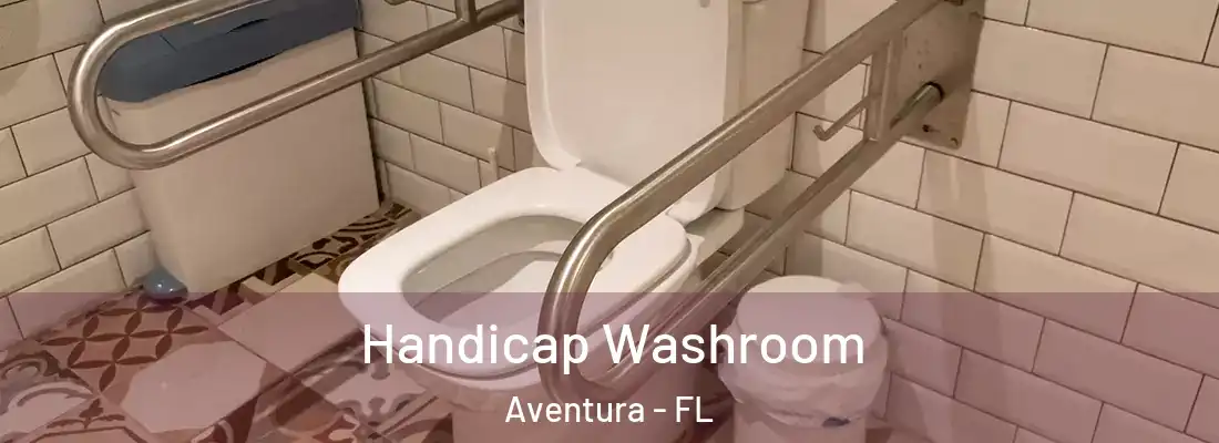 Handicap Washroom Aventura - FL