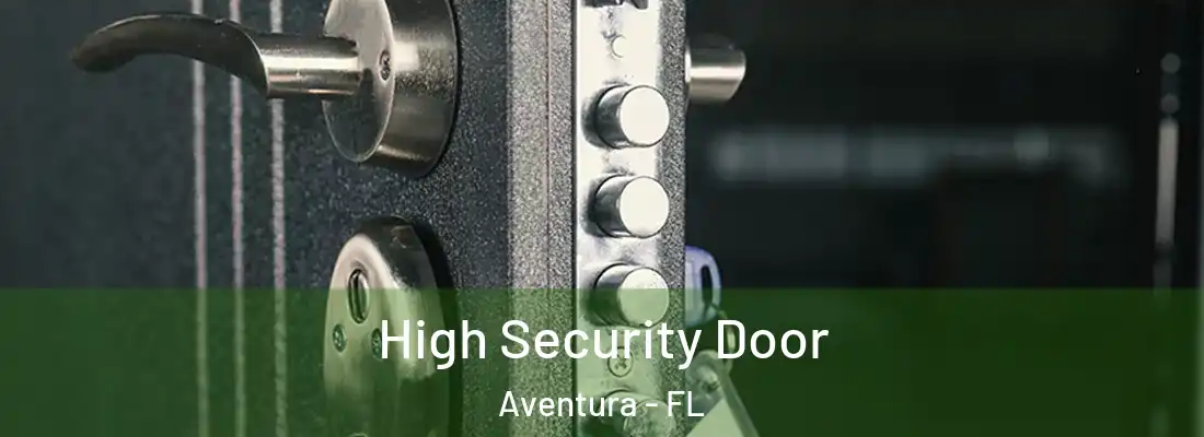  High Security Door Aventura - FL