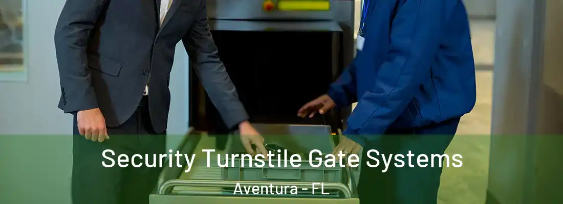 Security Turnstile Gate Systems Aventura - FL